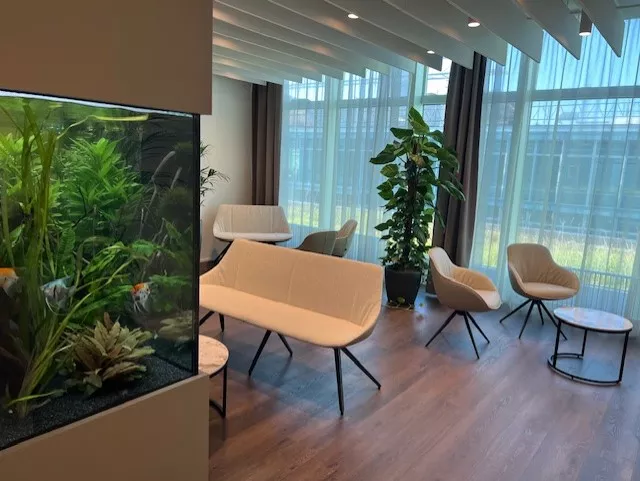 Warteraum Die Bauchpraxis