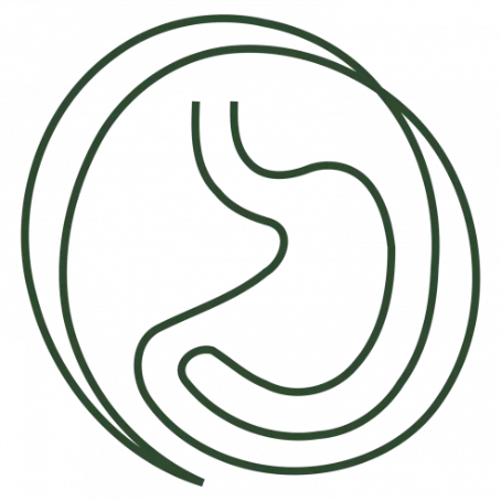 Logo Die Bauchpraxis Baden